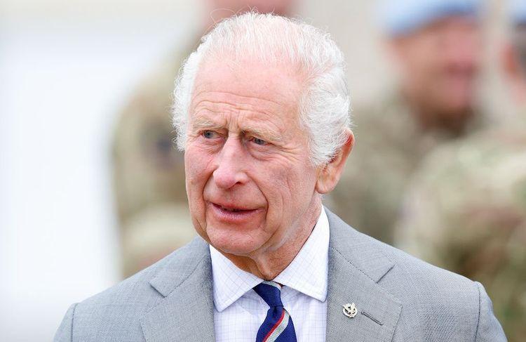 Le palais de Buckingham dévoile un nouveau portrait de Charles III et Internet s’enflamme