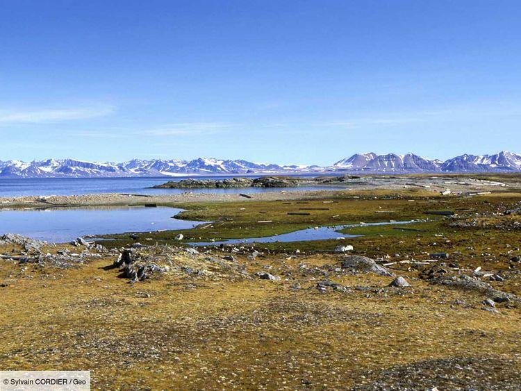 Norvège : terrain à vendre sur l'archipel du Svalbard, dans l'Arctique
