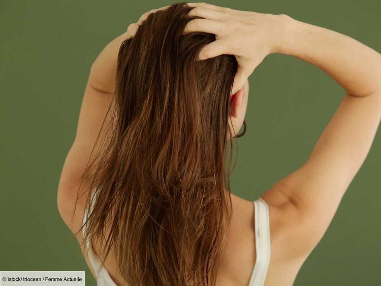Vinaigre, huile d’olive dans les cheveux : quelles sont les solutions naturelles efficaces contre les poux ?