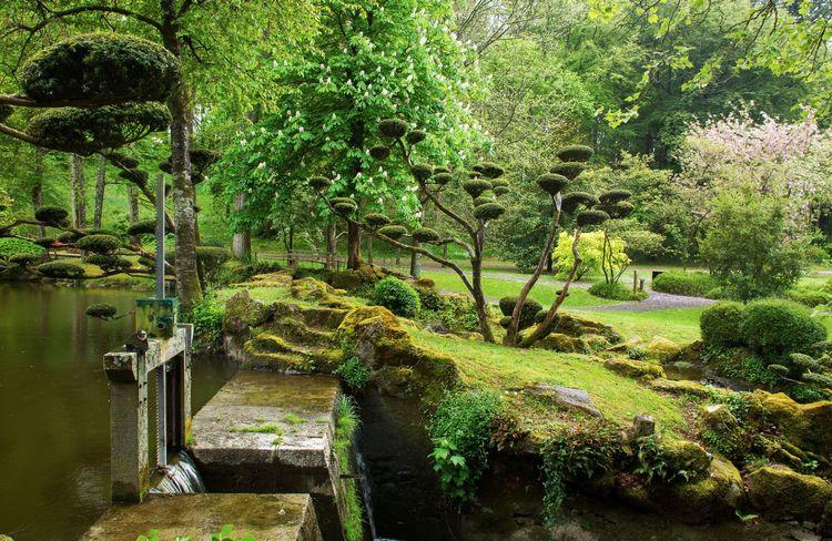 Découvrez comment créer un sublime jardin de style japonais chez vous