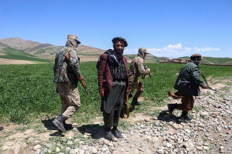 En Afghanistan, une éradication violente du pavot