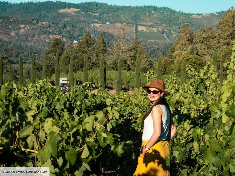 Des vignes mais pas d'alcool : la route des vins se réinvente pour ceux qui ne boivent pas