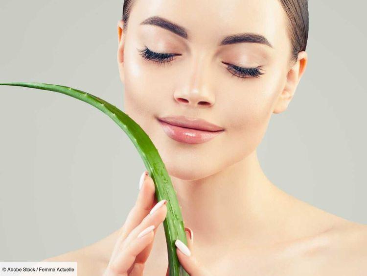 12 recettes de soins beauté aux plantes aromatiques pour prendre soin de sa peau et de ses cheveux naturellement
