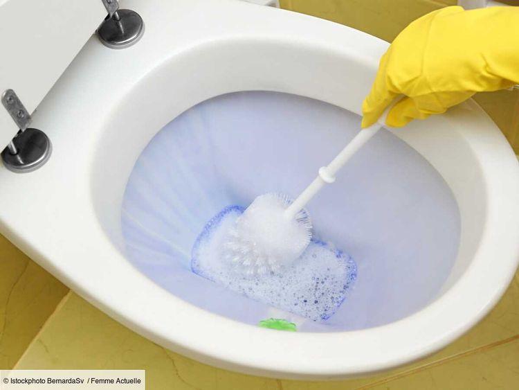 2 méthodes pour nettoyer efficacement sa brosse pour les toilettes