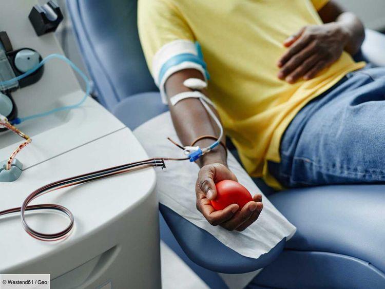 Don du sang : des scientifiques découvrent une enzyme capable de rendre les groupes sanguins plus compatibles