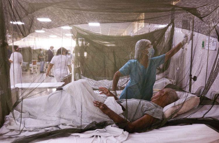 Les ravages de la dengue au Pérou, infections record au Brésil et en Argentine