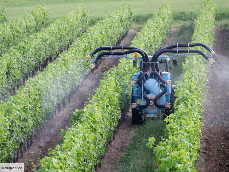 Plan Ecophyto 2030 : le gouvernement français change de cap dans sa stratégie pour réduire les pesticides