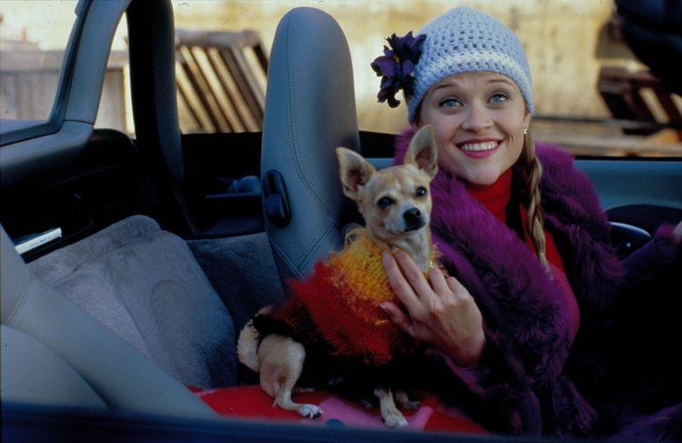 « La Revanche d’une blonde » : Reese Witherspoon va adapter le film culte en série