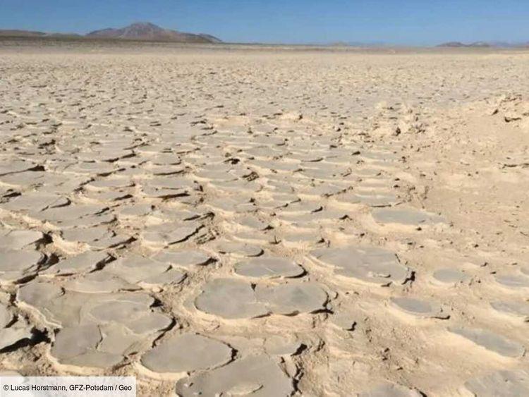 Des microbes capables de résister à des conditions extrêmes vivent cachés sous le sol du désert d'Atacama