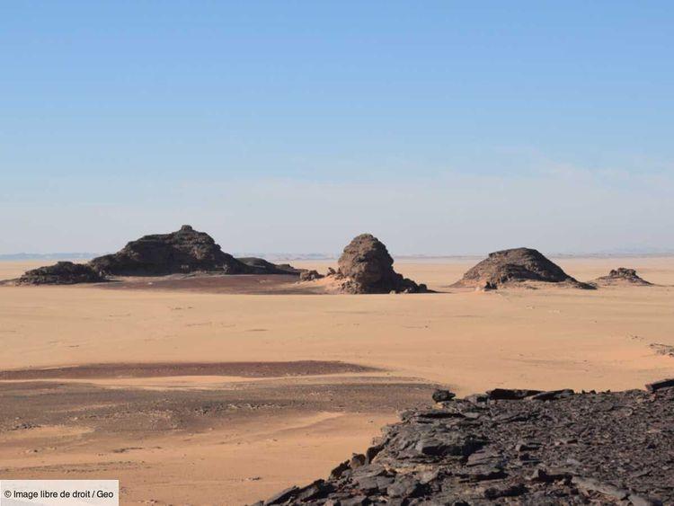 Le Sahara était autrefois une savane luxuriante, mais un catastrophique changement climatique a tout bouleversé