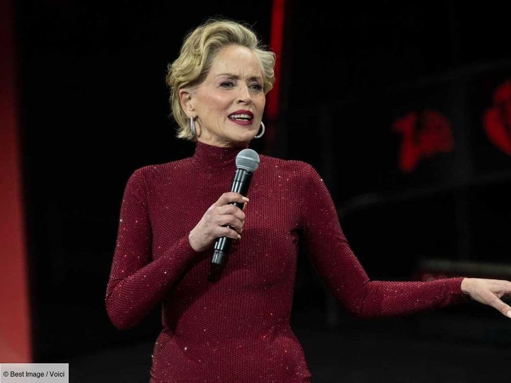 Sharon Stone très émue : l'actrice reçoit un magnifique cadeau grâce à Julien Doré, le chanteur partage une vidéo qui attendrit la Toile