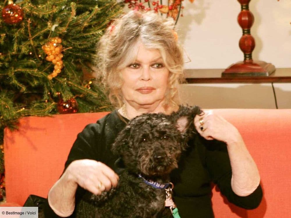Brigitte Bardot : pourquoi elle n'a jamais demandé la garde de son fils et l'a laissée à son ex-mari Jacques Charrier