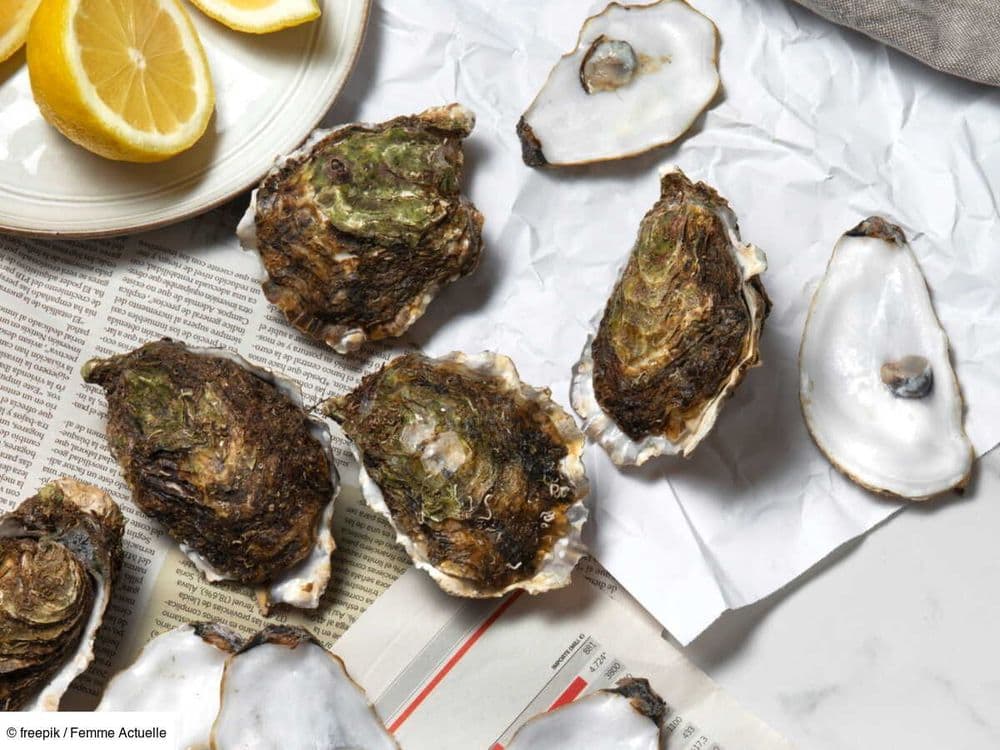 Dans quelle poubelle jeter les coquilles d’huîtres et de Saint-Jacques ?