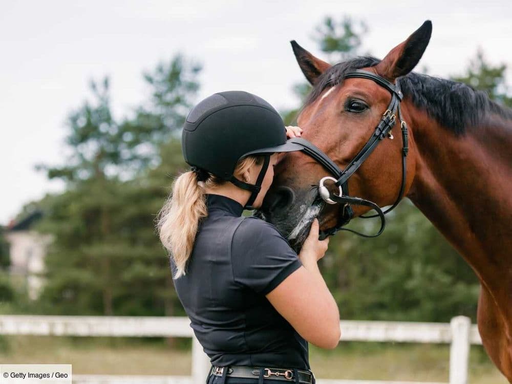 Zoothérapie : comment fonctionne la thérapie assistée par l'animal ?