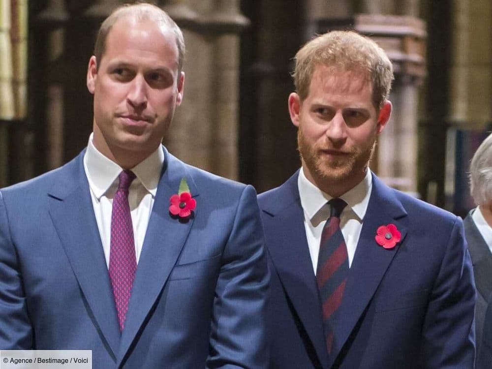 "Mon frère m'a blessé" : Harry se confie sur un épisode marquant de sa jeunesse avec son frère William