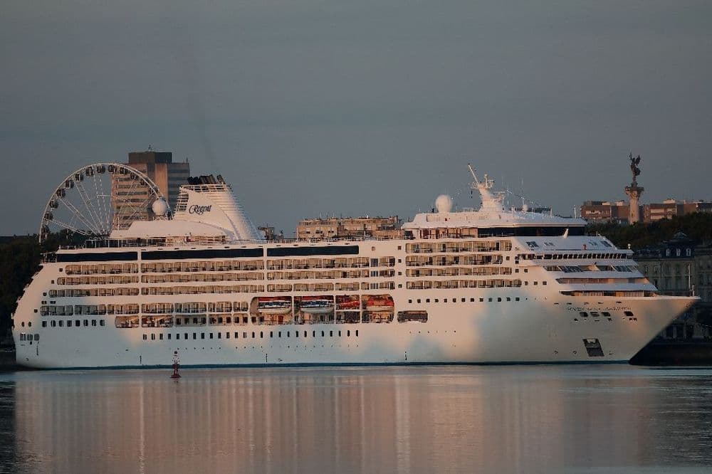 À Bordeaux, le déplacement des bateaux de croisière hors du centre-ville divise