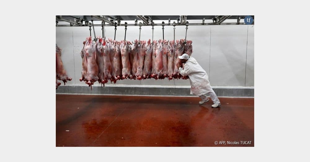 Bonne nouvelle pour la planète : la consommation moyenne de viande par Français a reculé de 5,8% en vingt ans