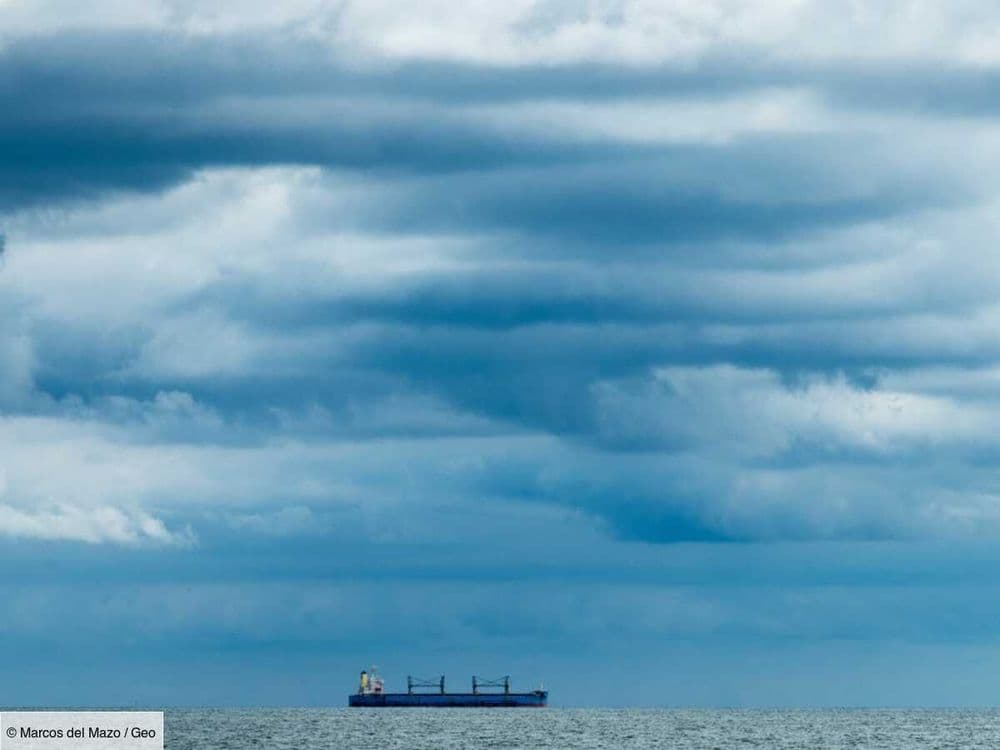 Certaines vagues de tempêtes océaniques déclenchent des vibrations jusqu'au noyau terrestre