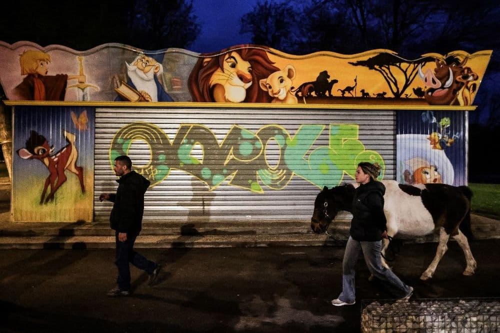 A Angoulême, un poney redonne le sourire aux sans-abri