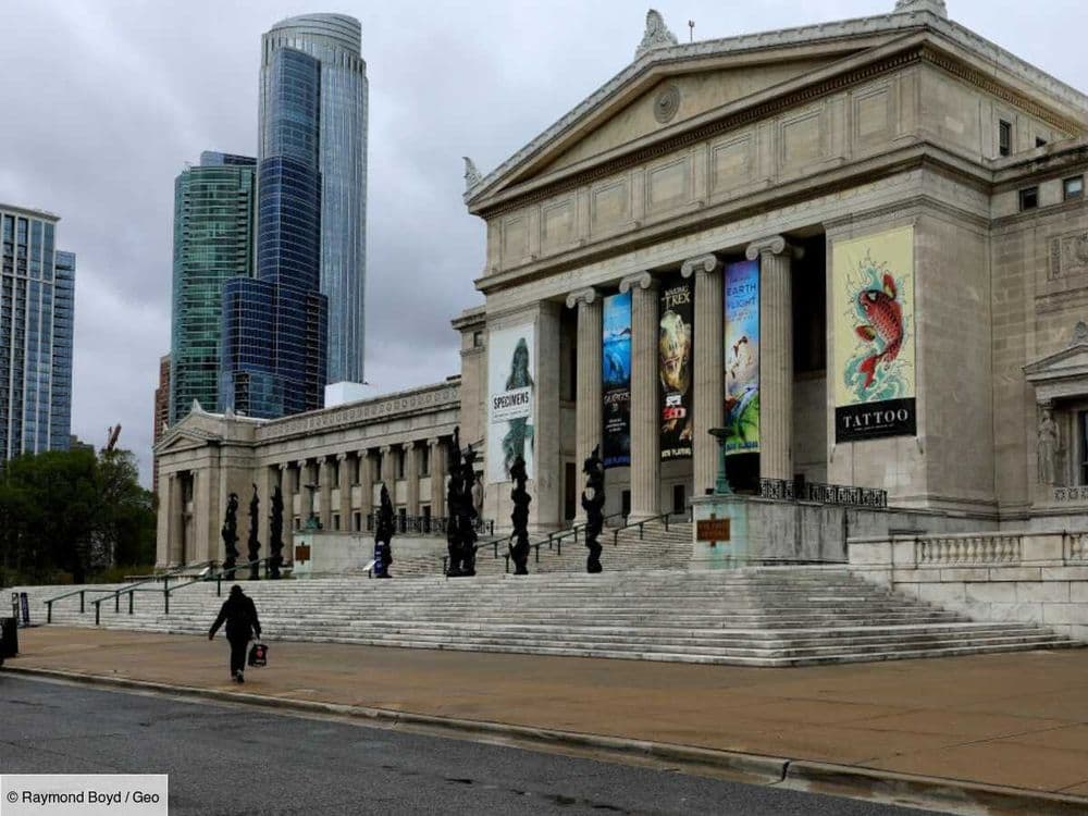 Voici les musées célèbres les plus critiqués par leurs visiteurs