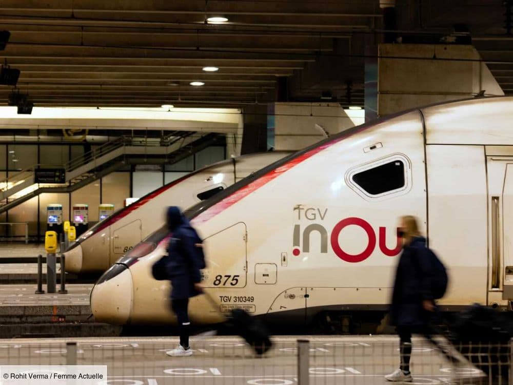 Dans la Drôme, un homme a parcouru 500 kilomètres entre deux voitures de TGV