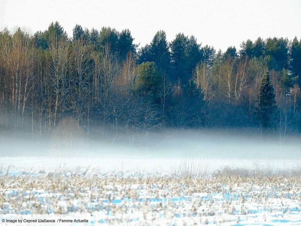 Une vague de froid s’apprête à déferler sur la France : quels sont les régions où les températures seront les plus basses ?