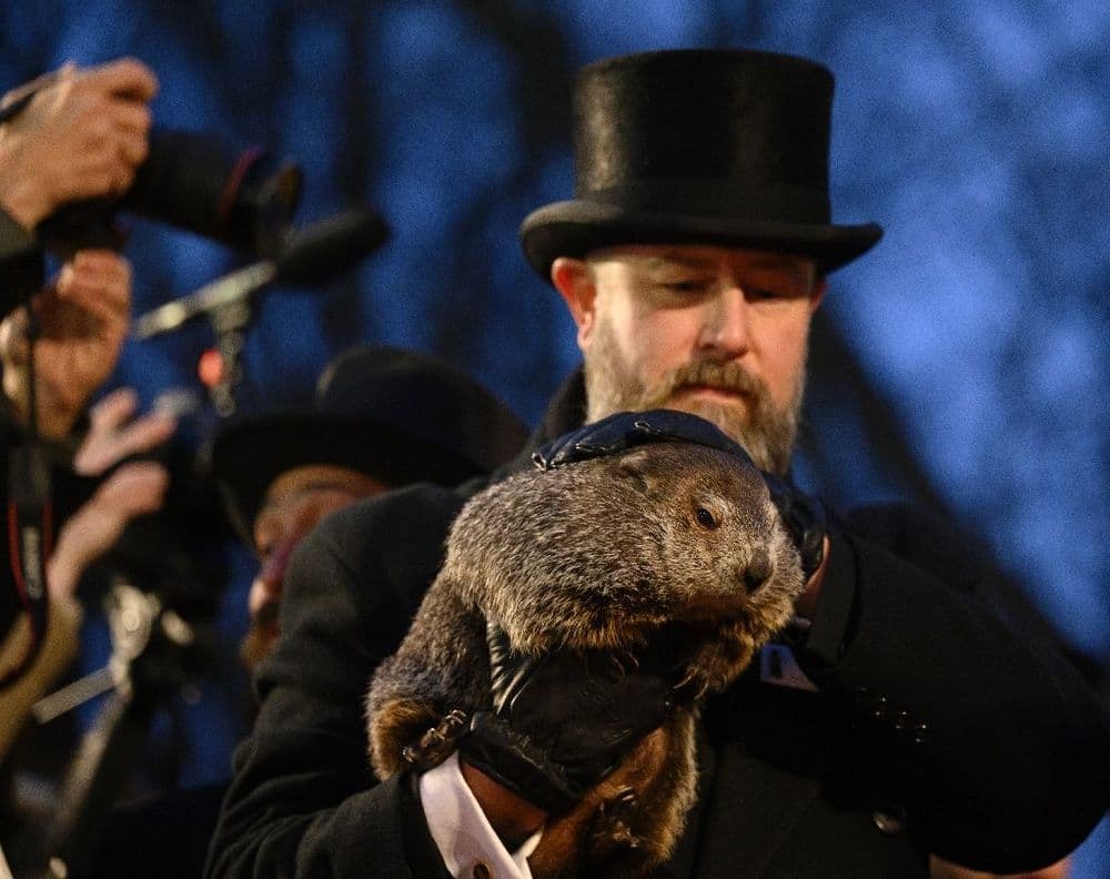 Aux Etats-Unis, Phil la marmotte ne fait pas le printemps