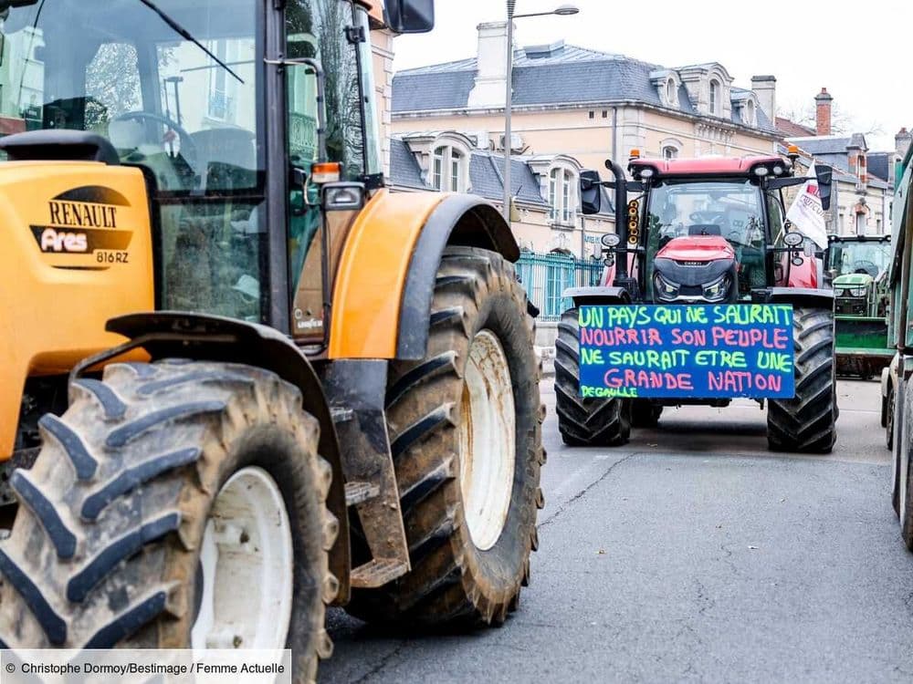 Colère des agriculteurs : 12 régions touchées par les mobilisations ce lundi, la vôtre en fait-elle partie ?