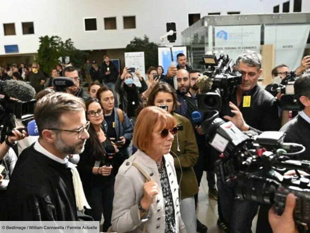 Procès des viols de Mazan : cette avocate qui avait fait polémique fermement sanctionnée
