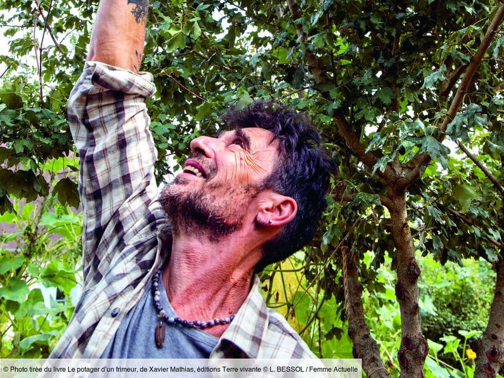 Les conseils du maraîcher Xavier Mathias pour avoir un beau potager