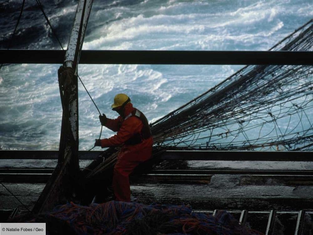 La France échange des quotas avec la Pologne pour du surimi sur un chalutier géant