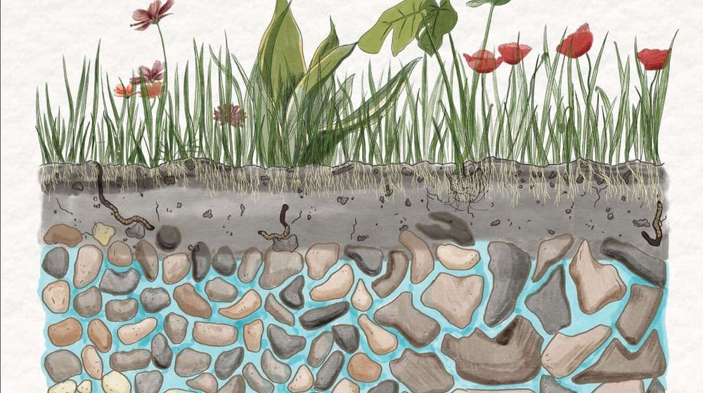 Comment surveiller le niveau des nappes phréatiques ?