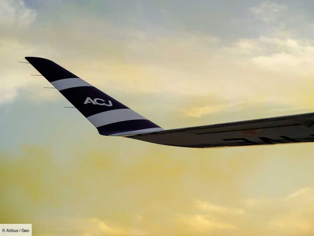 Ailes pliantes, hydrogène, moteurs "à soufflante ouverte": les recherches d'Airbus pour l'avion du futur