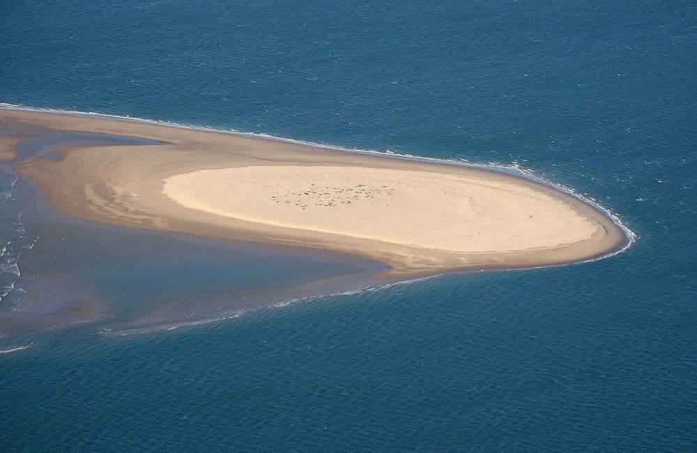 L’île sans nom : quelle est cette île mystérieuse apparue en Gironde ?