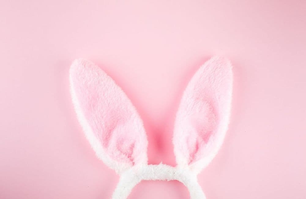 Chasse aux sextoys de Pâques : quel est ce concept olé-olé qui débarque en France ?