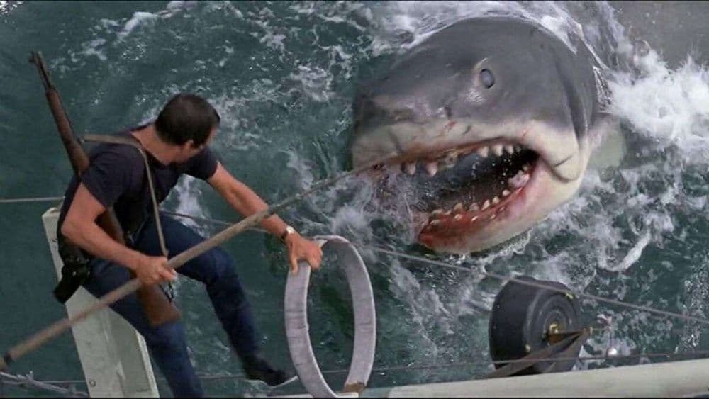 La scène la plus terrifiante des Dents de la mer tournée… dans une simple piscine