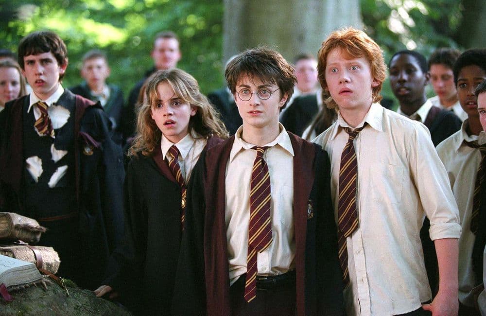 « Harry Potter » : voici toutes les informations importantes sur la série