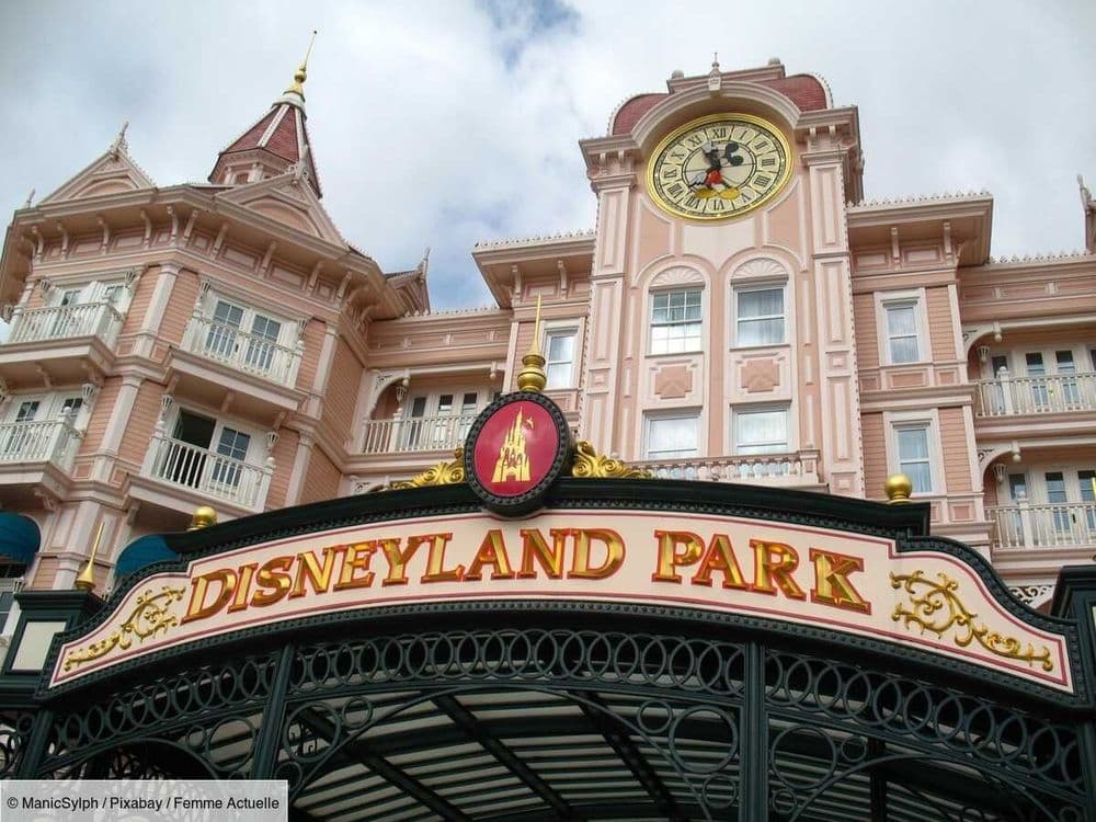 "L'évènement s'est avéré être une mise en scène" : ce que l’on sait du "faux mariage" à Disneyland avec une fillette de 9 ans
