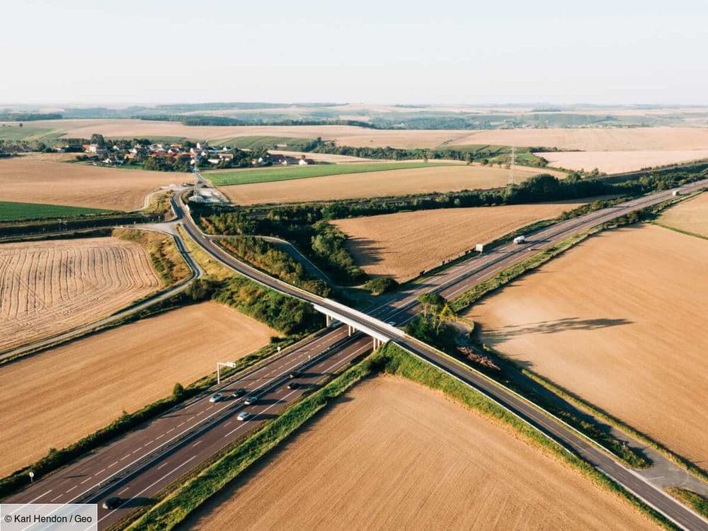 Ce que détruirait vraiment l’A69 entre Castres et Toulouse selon les écologistes