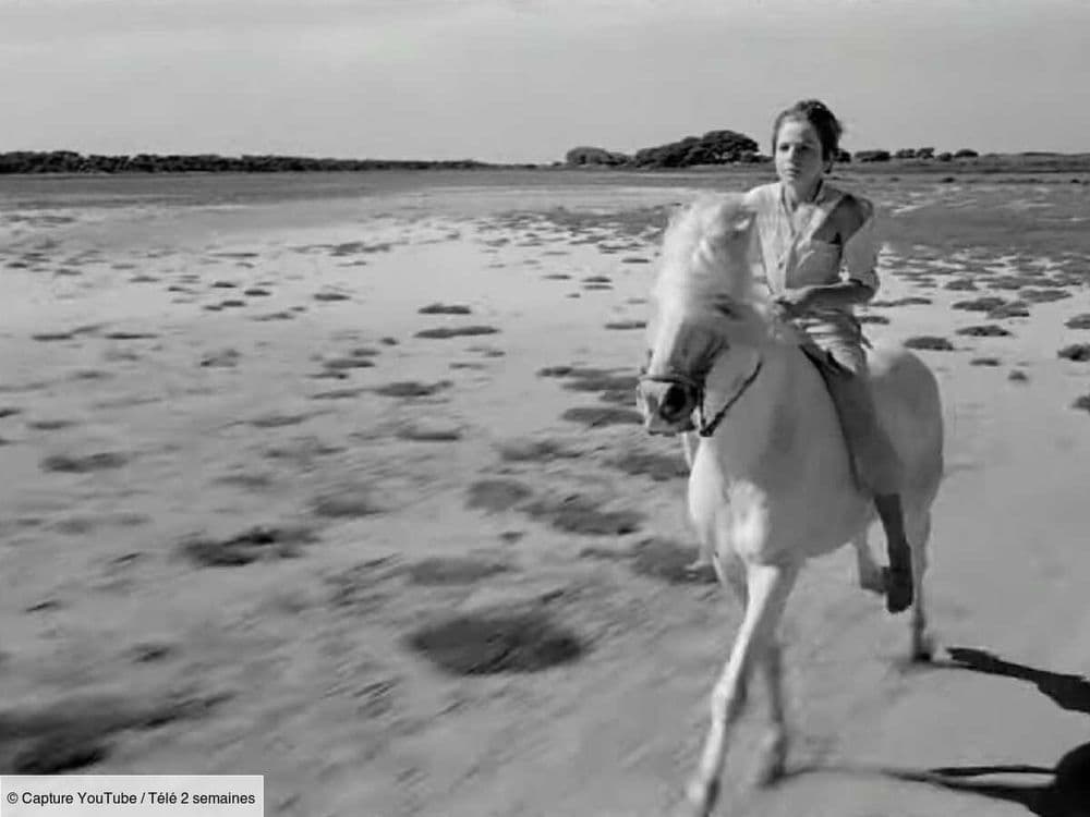Alain Emery, révélé dans le film Crin Blanc, est mort à 83 ans