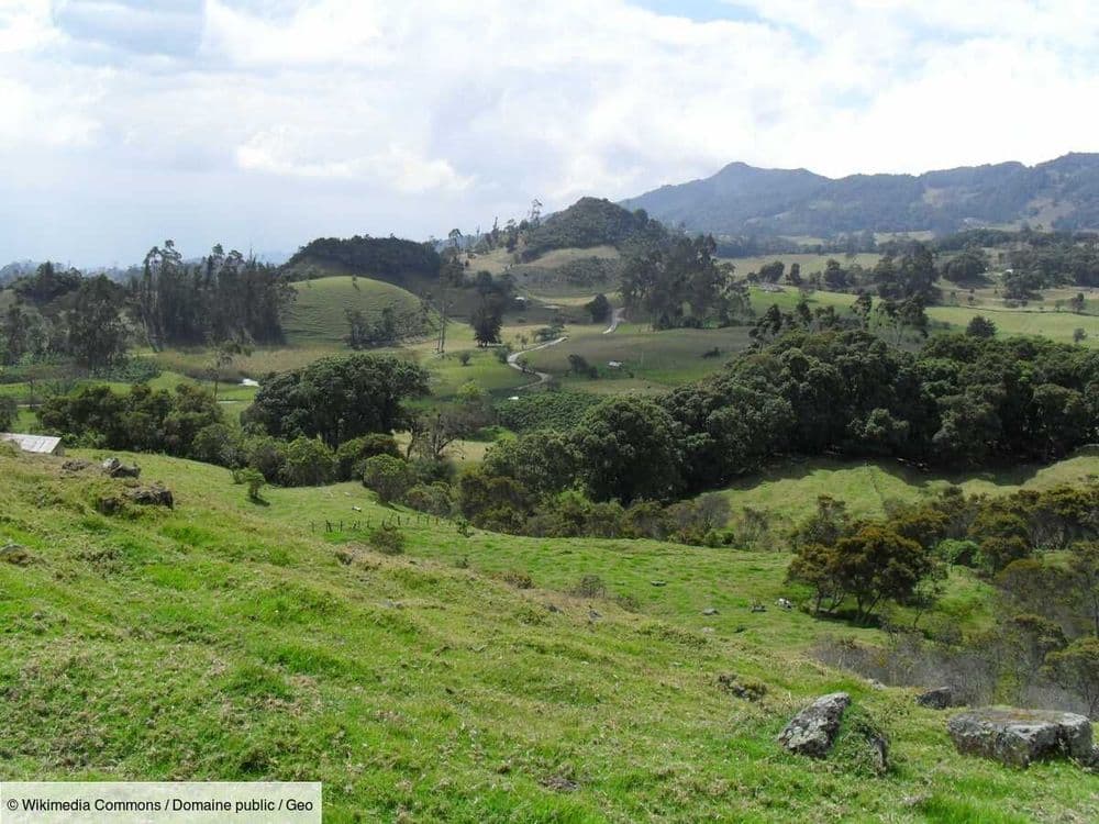 Comment il y a 4000 ans, une lignée humaine a disparu sans laisser de trace génétique en Colombie
