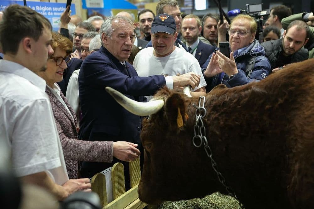 Au Salon de l'agriculture, Bayrou reconnaît que "tous les problèmes ne sont pas résolus"