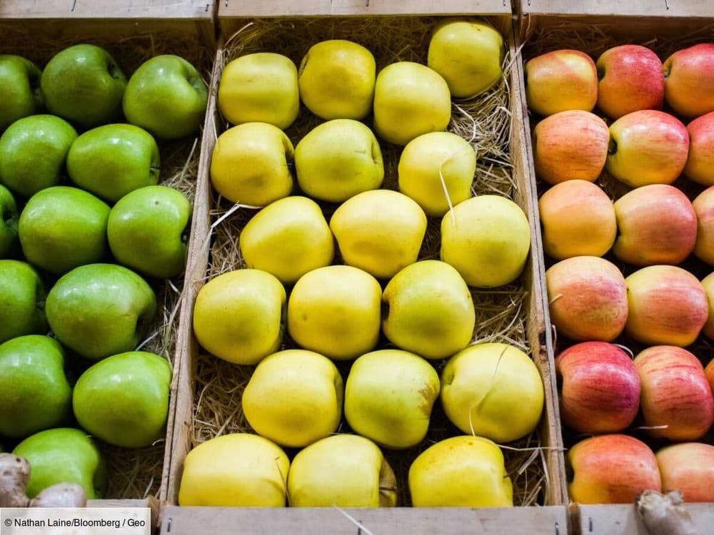 La pomme "zéro pesticide" de demain, c'est peut-être elle