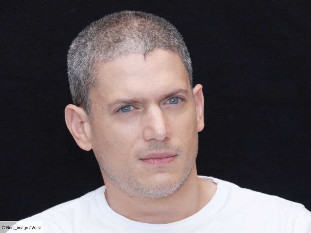Wentworth Miller : que devient la star de Prison Break ?