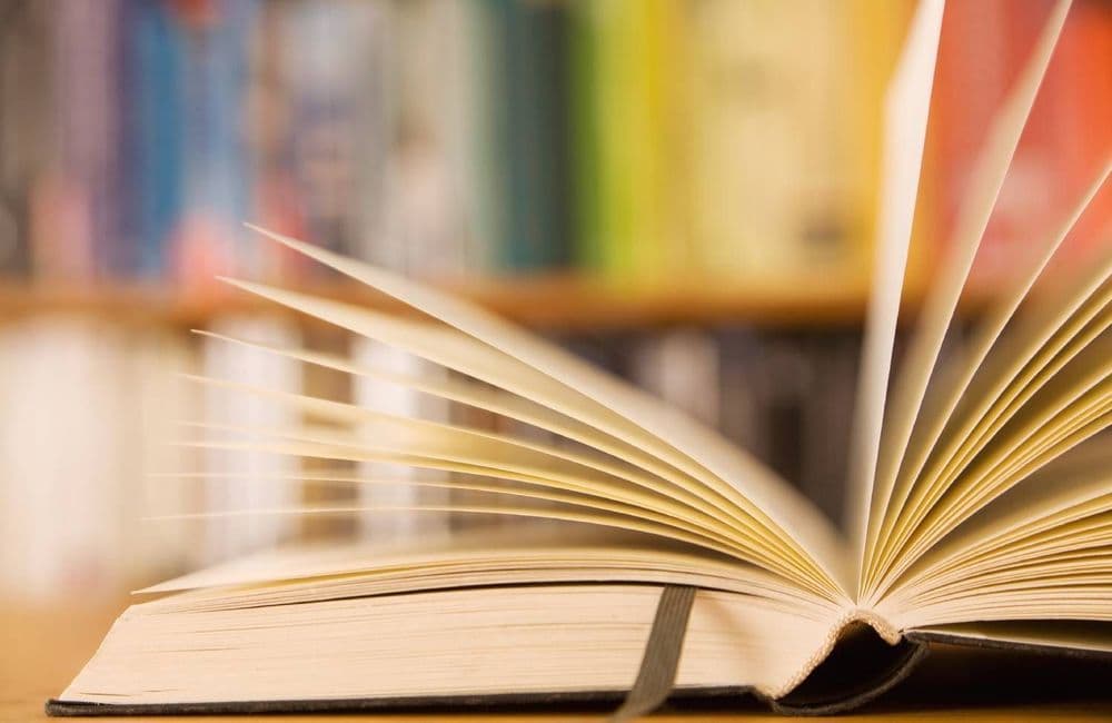 Larousse 2026 : « Périménopause », « asexuel », « violences vicariantes », ces mots qui font leur entrée dans le dictionnaire