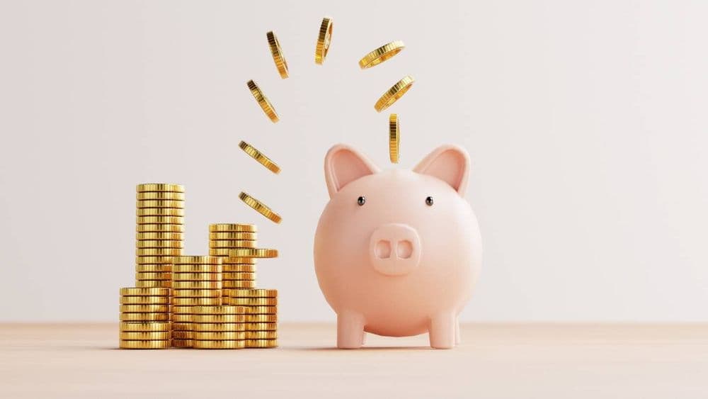Retraite, hausse d'impôts, immobilier... Les mesures du budget 2025 qui touchent à votre portefeuille