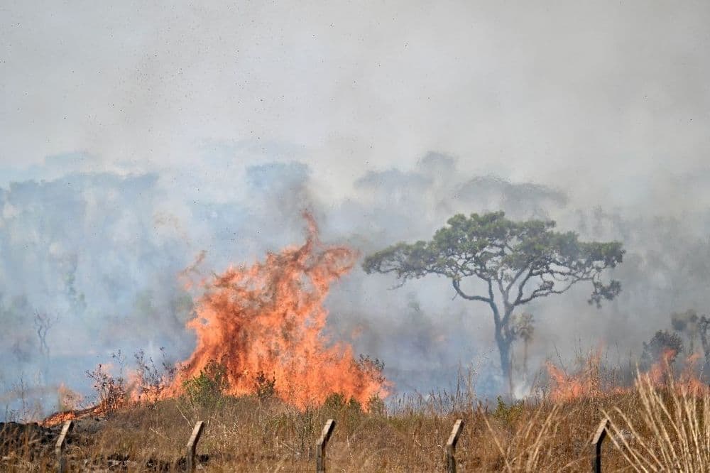Entre pollution et incendies, le Brésil suffoque