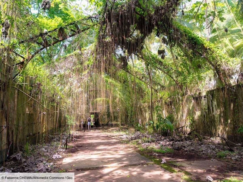 Les îles du Salut en Guyane, de l'enfer du bagne au paradis tropical