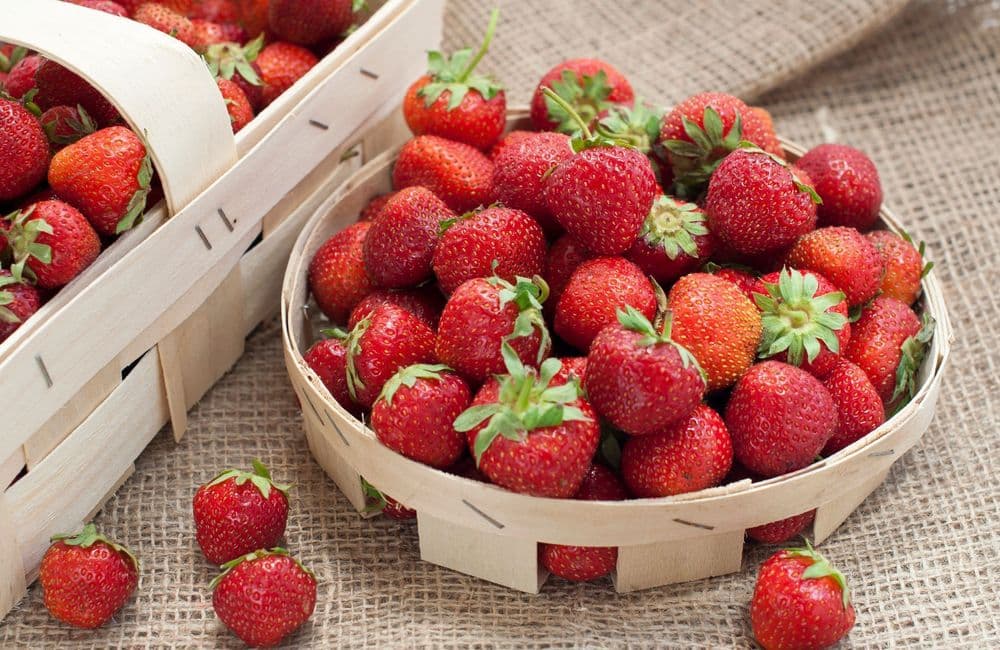 Faut-il choisir des petites ou des grosses fraises ?