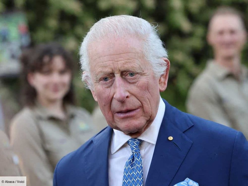Charles III : que devient Simon Dorante-Day, l'Australien qui affirme être son fils caché ?